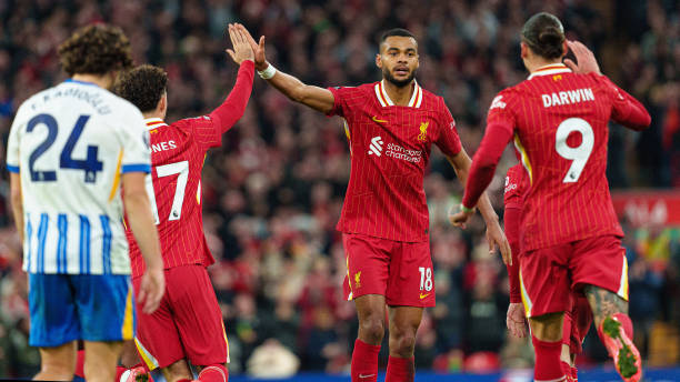 生涯中不胜 生涯中不胜