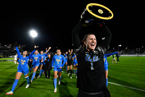 的表现赢得 的表现赢得